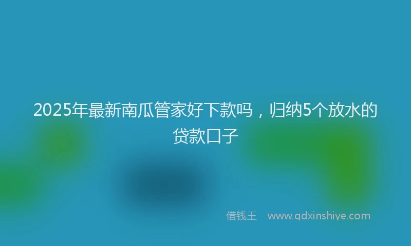2025年最新南瓜管家好下款吗，归纳5个放水的贷款口子