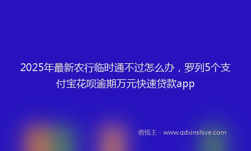 2025年最新农行临时通不过怎么办，罗列5个支付宝花呗逾期万元快速贷款app