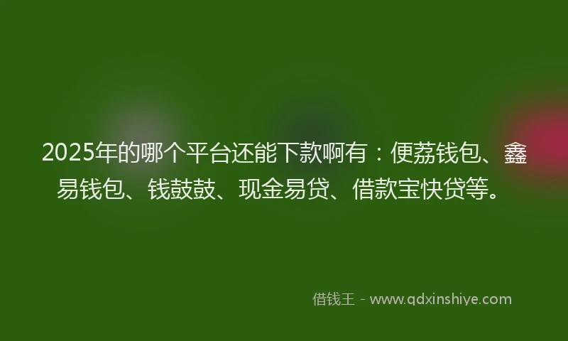 2025年的哪个平台还能下款啊有：便荔钱包、鑫易钱包、钱鼓鼓、现金易贷、借款宝快贷等。