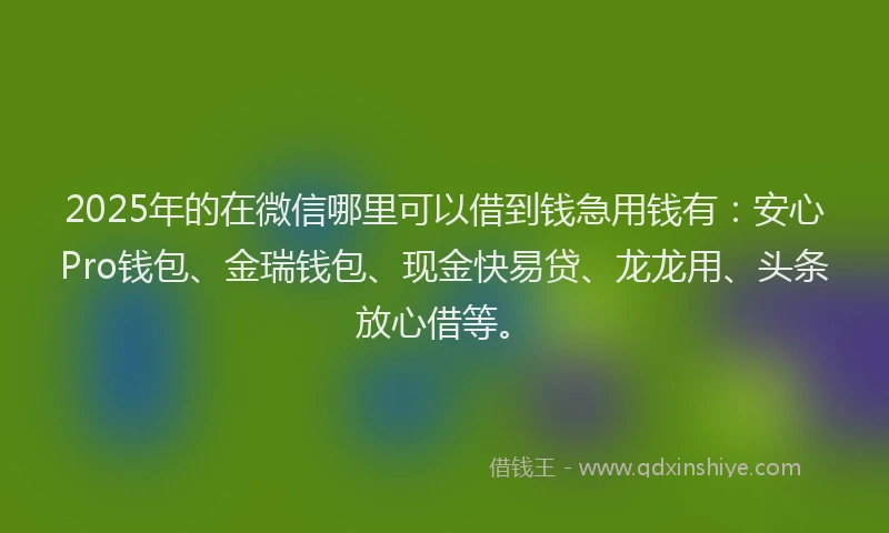 2025年的在微信哪里可以借到钱急用钱有：安心Pro钱包、金瑞钱包、现金快易贷、龙龙用、头条放心借等。