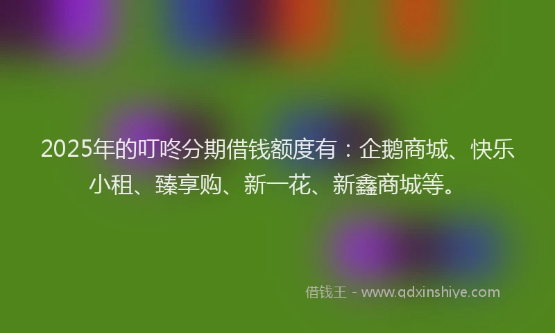 2025年的叮咚分期借钱额度有：企鹅商城、快乐小租、臻享购、新一花、新鑫商城等。