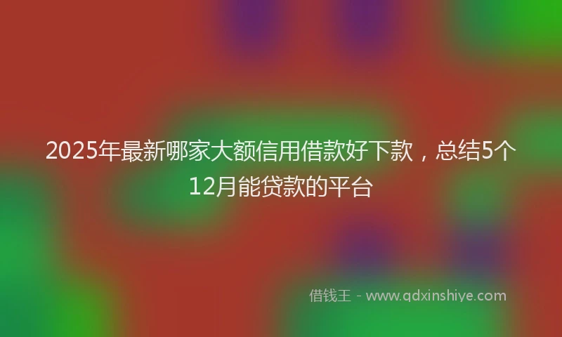 2025年最新哪家大额信用借款好下款，总结5个12月能贷款的平台