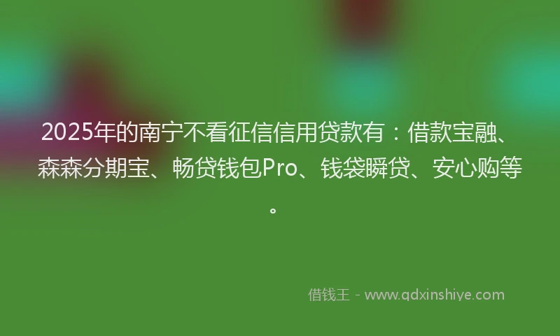 2025年的南宁不看征信信用贷款有：借款宝融、森森分期宝、畅贷钱包Pro、钱袋瞬贷、安心购等。