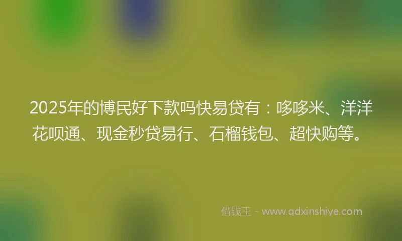 2025年的博民好下款吗快易贷有：哆哆米、洋洋花呗通、现金秒贷易行、石榴钱包、超快购等。