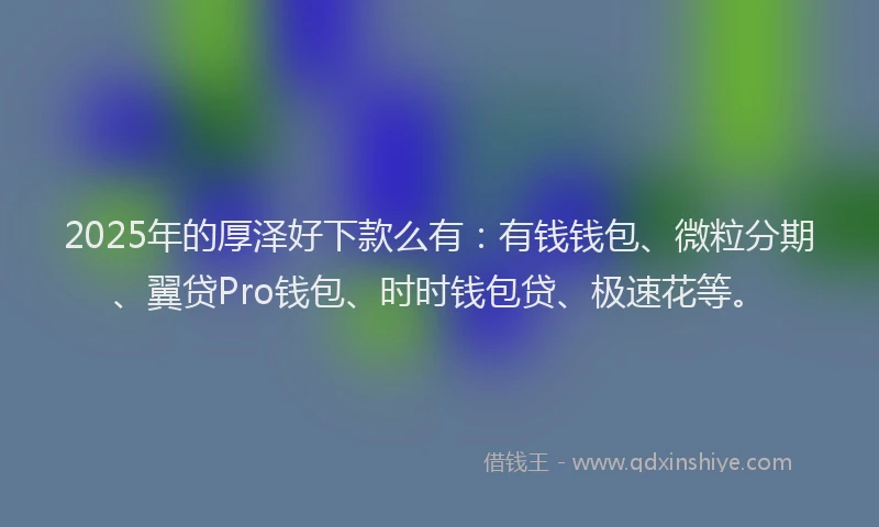 2025年的厚泽好下款么有：有钱钱包、微粒分期、翼贷Pro钱包、时时钱包贷、极速花等。