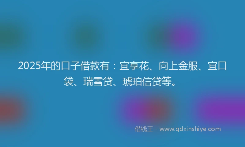 2025年的口子借款有：宜享花、向上金服、宜口袋、瑞雪贷、琥珀信贷等。