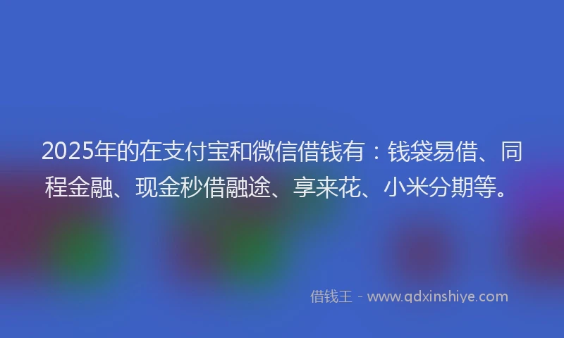2025年的在支付宝和微信借钱有：钱袋易借、同程金融、现金秒借融途、享来花、小米分期等。