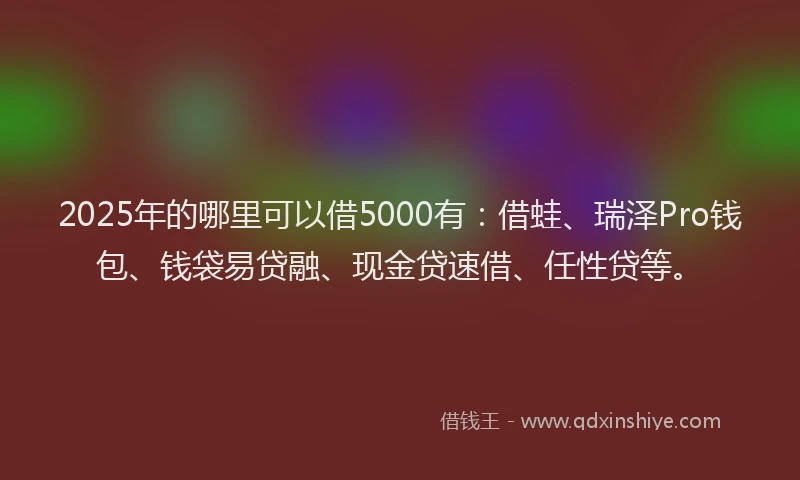 2025年的哪里可以借5000有：借蛙、瑞泽Pro钱包、钱袋易贷融、现金贷速借、任性贷等。