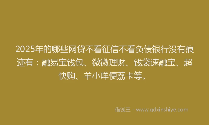 2025年的哪些网贷不看征信不看负债银行没有痕迹有：融易宝钱包、微微理财、钱袋速融宝、超快购、羊小咩便荔卡等。