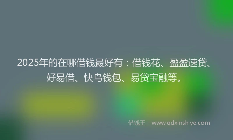 2025年的在哪借钱最好有：借钱花、盈盈速贷、好易借、快鸟钱包、易贷宝融等。