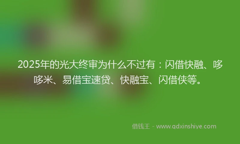 2025年的光大终审为什么不过有：闪借快融、哆哆米、易借宝速贷、快融宝、闪借侠等。