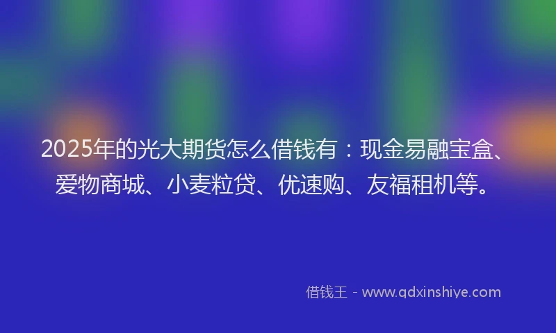 2025年的光大期货怎么借钱有：现金易融宝盒、爱物商城、小麦粒贷、优速购、友福租机等。