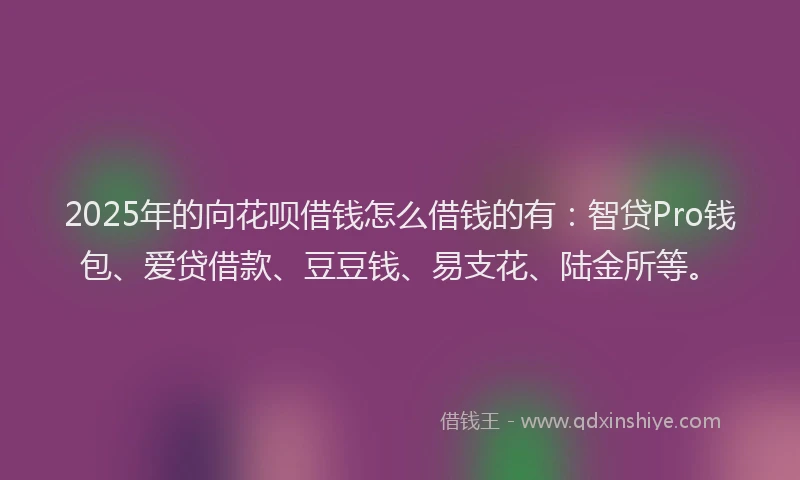 2025年的向花呗借钱怎么借钱的有：智贷Pro钱包、爱贷借款、豆豆钱、易支花、陆金所等。