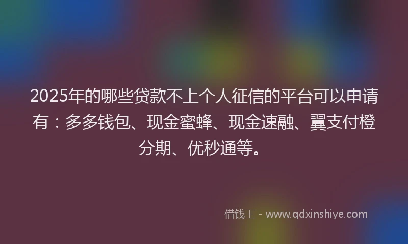 2025年的哪些贷款不上个人征信的平台可以申请有：多多钱包、现金蜜蜂、现金速融、翼支付橙分期、优秒通等。
