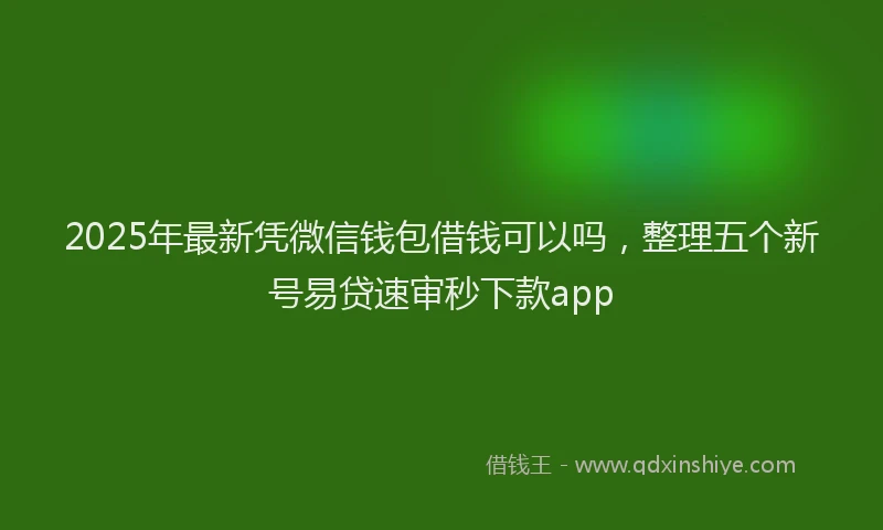 2025年最新凭微信钱包借钱可以吗，整理五个新号易贷速审秒下款app
