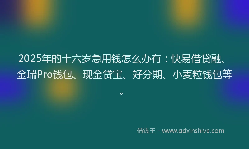 2025年的十六岁急用钱怎么办有：快易借贷融、金瑞Pro钱包、现金贷宝、好分期、小麦粒钱包等。