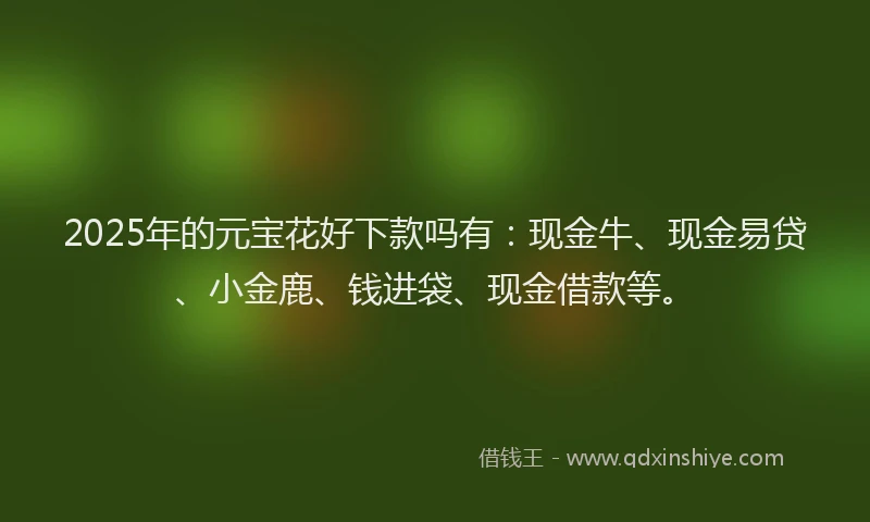 2025年的元宝花好下款吗有：现金牛、现金易贷、小金鹿、钱进袋、现金借款等。