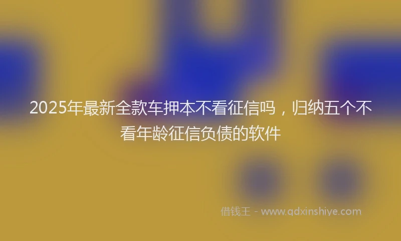2025年最新全款车押本不看征信吗，归纳五个不看年龄征信负债的软件