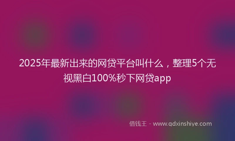 2025年最新出来的网贷平台叫什么，整理5个无视黑白100%秒下网贷app