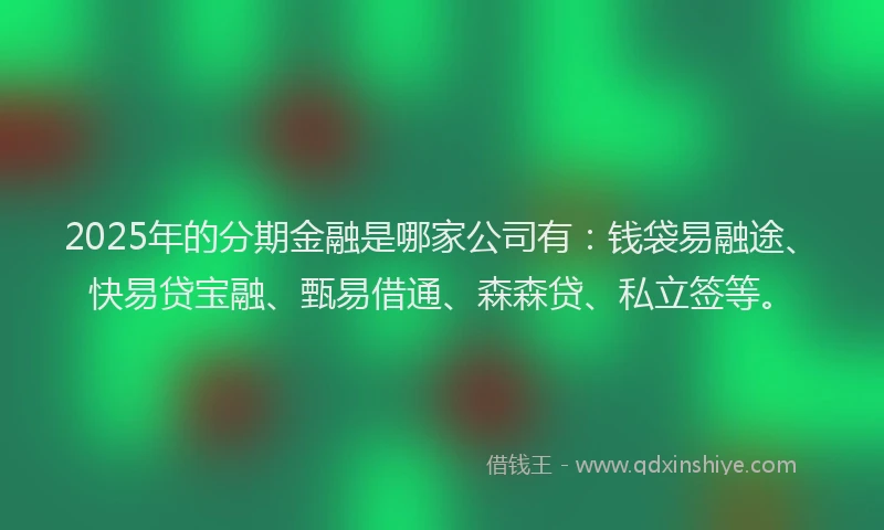 2025年的分期金融是哪家公司有：钱袋易融途、快易贷宝融、甄易借通、森森贷、私立签等。