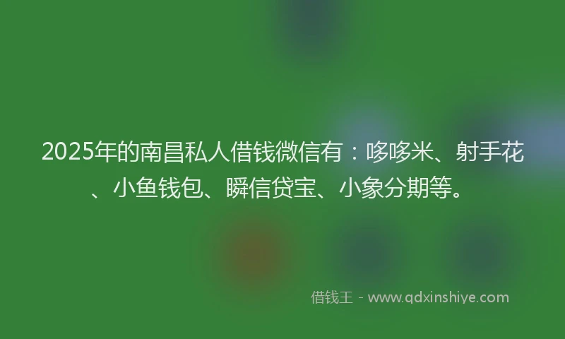 2025年的南昌私人借钱微信有：哆哆米、射手花、小鱼钱包、瞬信贷宝、小象分期等。