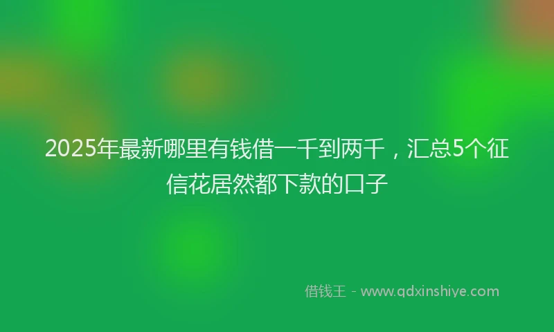 2025年最新哪里有钱借一千到两千，汇总5个征信花居然都下款的口子