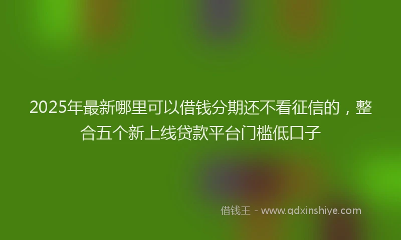 2025年最新哪里可以借钱分期还不看征信的，整合五个新上线贷款平台门槛低口子