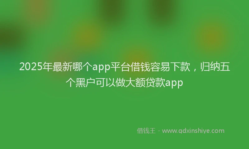 2025年最新哪个app平台借钱容易下款，归纳五个黑户可以做大额贷款app