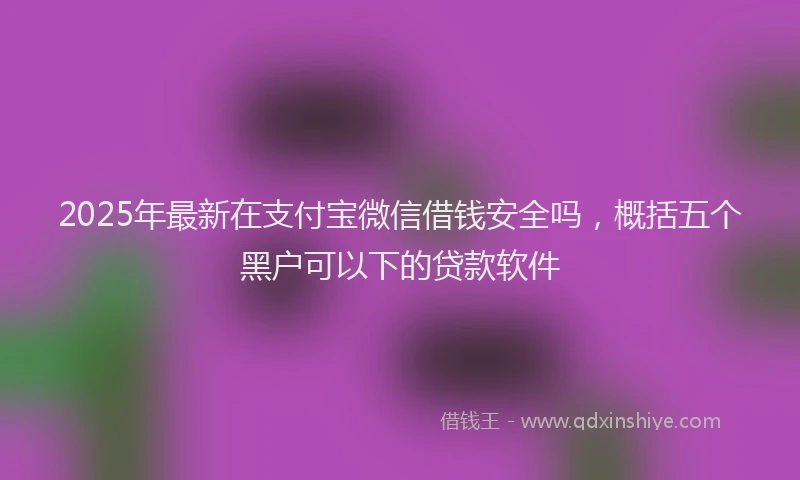 2025年最新在支付宝微信借钱安全吗，概括五个黑户可以下的贷款软件