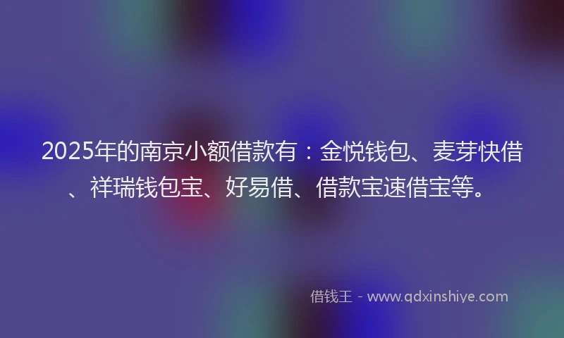 2025年的南京小额借款有：金悦钱包、麦芽快借、祥瑞钱包宝、好易借、借款宝速借宝等。