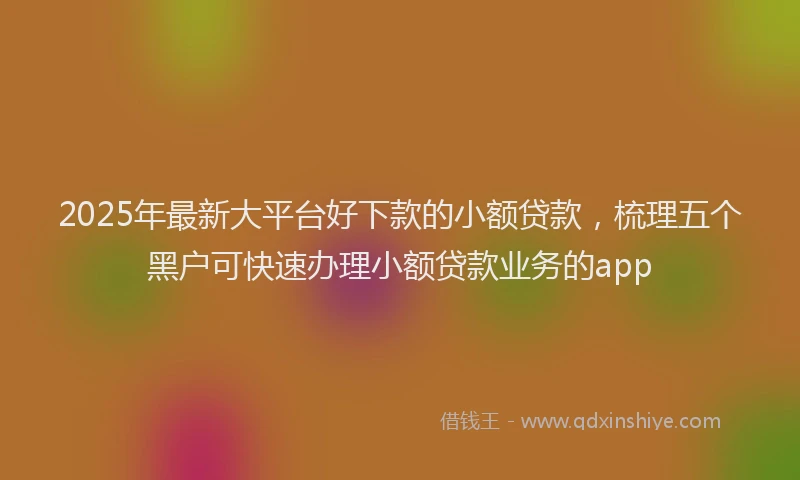2025年最新大平台好下款的小额贷款，梳理五个黑户可快速办理小额贷款业务的app