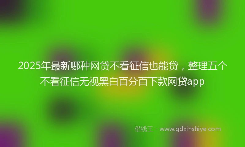 2025年最新哪种网贷不看征信也能贷，整理五个不看征信无视黑白百分百下款网贷app