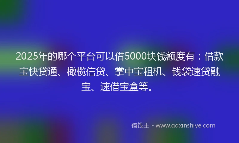 2025年的哪个平台可以借5000块钱额度有：借款宝快贷通、橄榄信贷、掌中宝租机、钱袋速贷融宝、速借宝盒等。