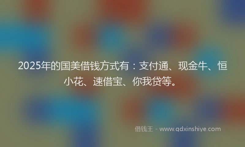 2025年的国美借钱方式有：支付通、现金牛、恒小花、速借宝、你我贷等。