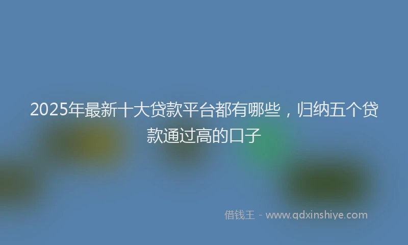 2025年最新十大贷款平台都有哪些，归纳五个贷款通过高的口子