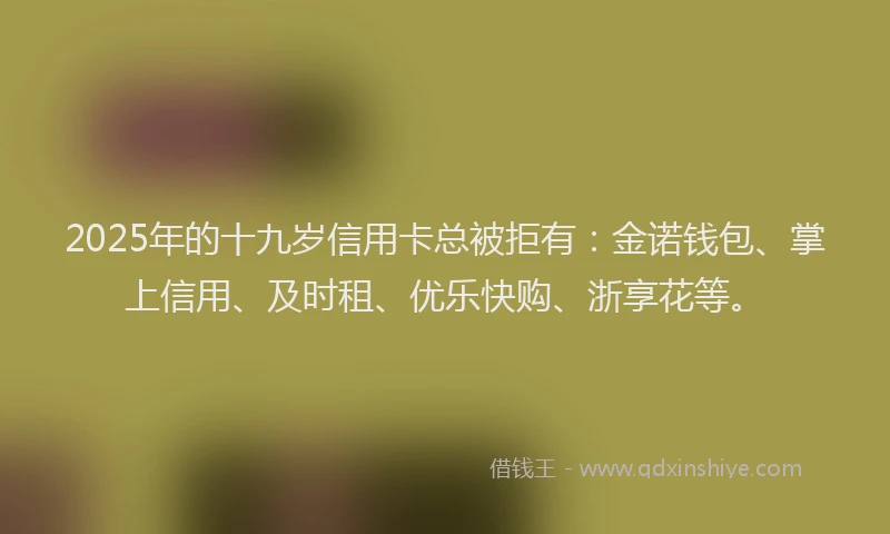 2025年的十九岁信用卡总被拒有：金诺钱包、掌上信用、及时租、优乐快购、浙享花等。
