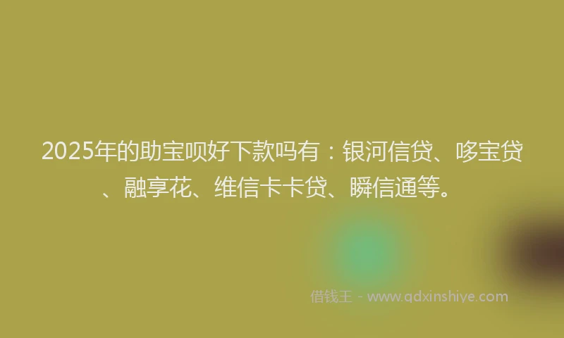 2025年的助宝呗好下款吗有：银河信贷、哆宝贷、融享花、维信卡卡贷、瞬信通等。