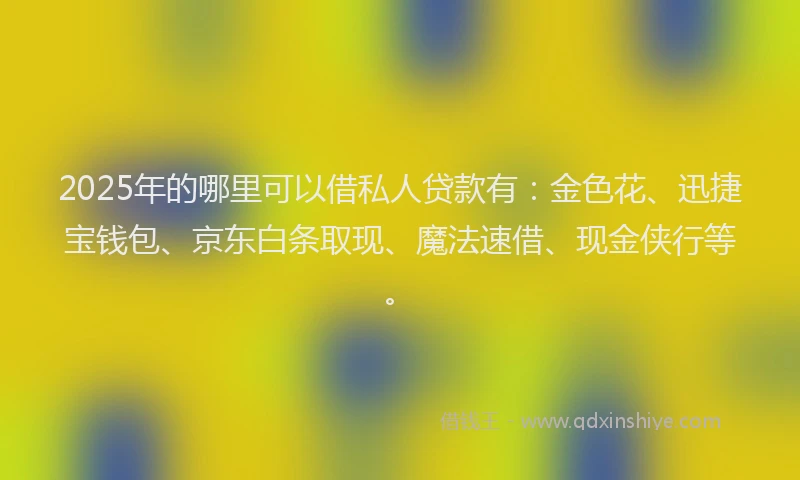 2025年的哪里可以借私人贷款有：金色花、迅捷宝钱包、京东白条取现、魔法速借、现金侠行等。