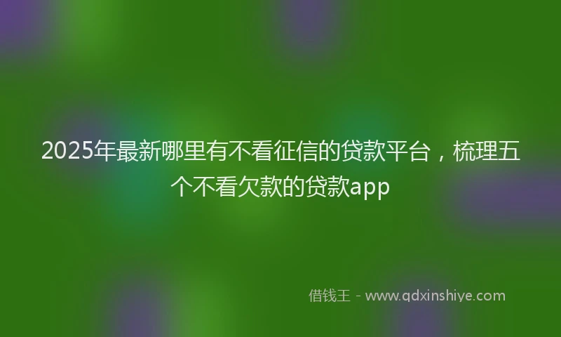 2025年最新哪里有不看征信的贷款平台，梳理五个不看欠款的贷款app