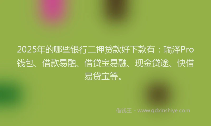 2025年的哪些银行二押贷款好下款有：瑞泽Pro钱包、借款易融、借贷宝易融、现金贷途、快借易贷宝等。