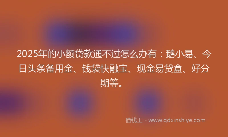 2025年的小额贷款通不过怎么办有：鹅小易、今日头条备用金、钱袋快融宝、现金易贷盒、好分期等。