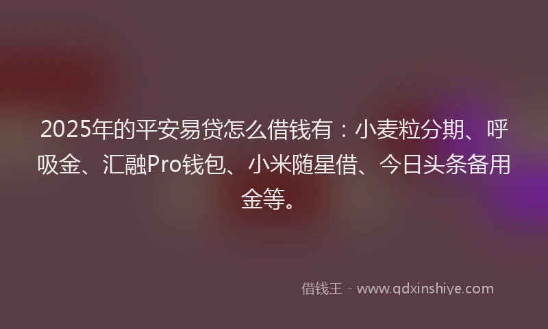 2025年的平安易贷怎么借钱有：小麦粒分期、呼吸金、汇融Pro钱包、小米随星借、今日头条备用金等。