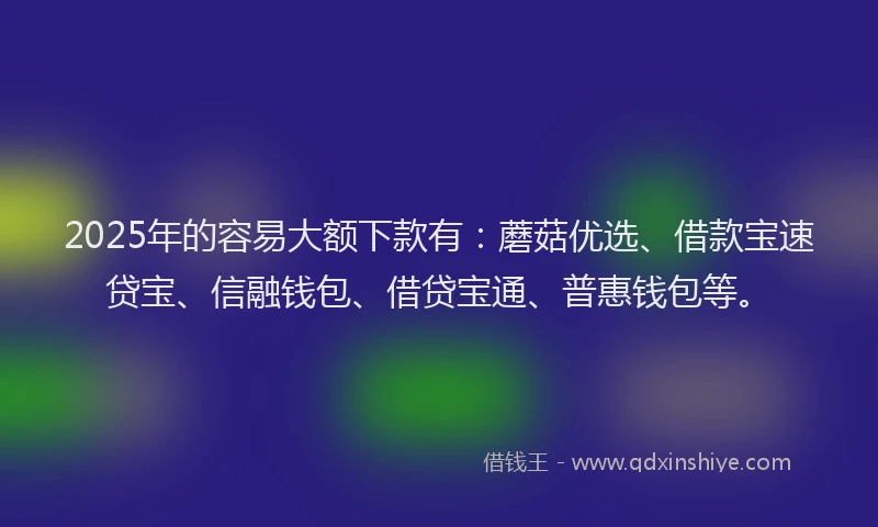 2025年的容易大额下款有：蘑菇优选、借款宝速贷宝、信融钱包、借贷宝通、普惠钱包等。