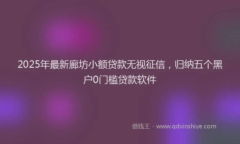 2025年最新廊坊小额贷款无视征信，归纳五个黑户0门槛贷款软件
