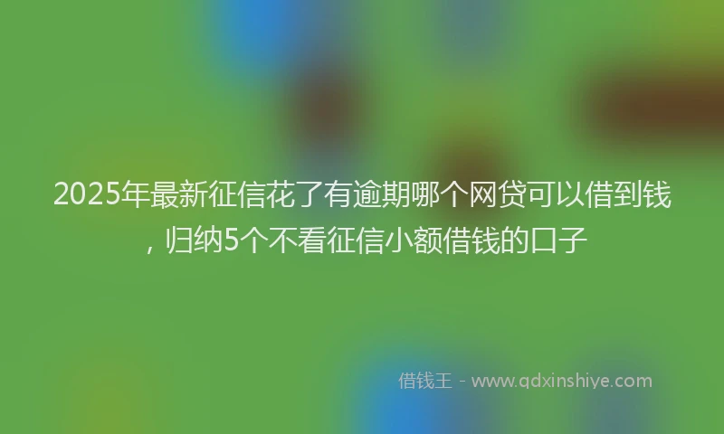 2025年最新征信花了有逾期哪个网贷可以借到钱，归纳5个不看征信小额借钱的口子