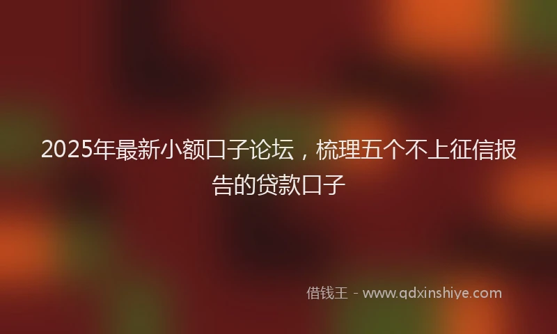 2025年最新小额口子论坛，梳理五个不上征信报告的贷款口子