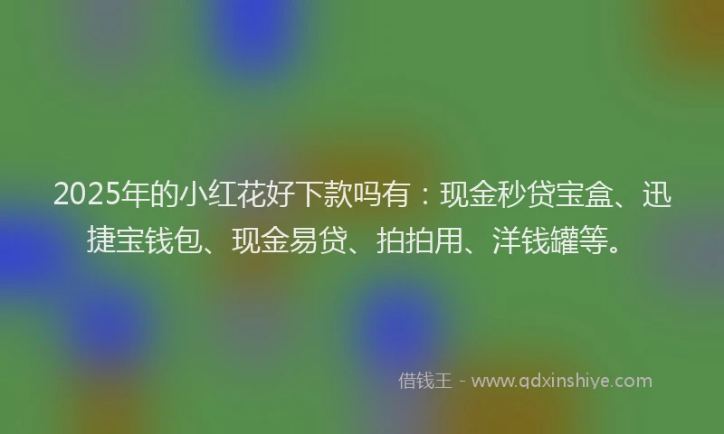 2025年的小红花好下款吗有：现金秒贷宝盒、迅捷宝钱包、现金易贷、拍拍用、洋钱罐等。