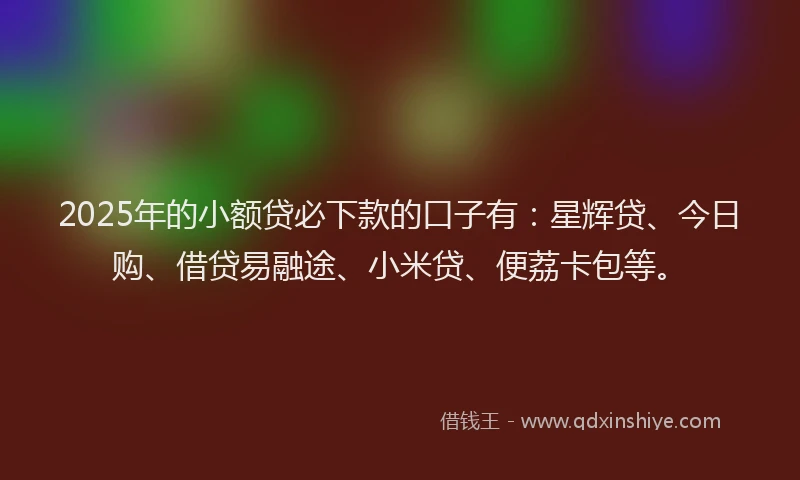 2025年的小额贷必下款的口子有：星辉贷、今日购、借贷易融途、小米贷、便荔卡包等。