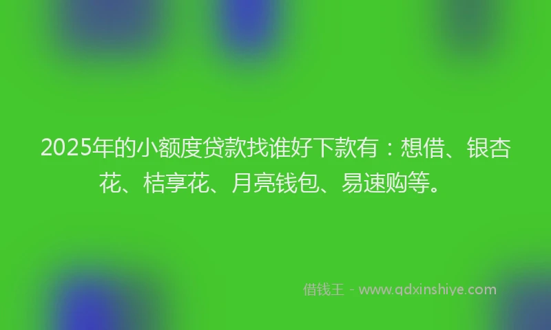 2025年的小额度贷款找谁好下款有：想借、银杏花、桔享花、月亮钱包、易速购等。