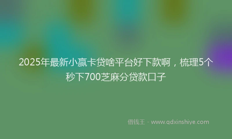 2025年最新小赢卡贷啥平台好下款啊，梳理5个秒下700芝麻分贷款口子